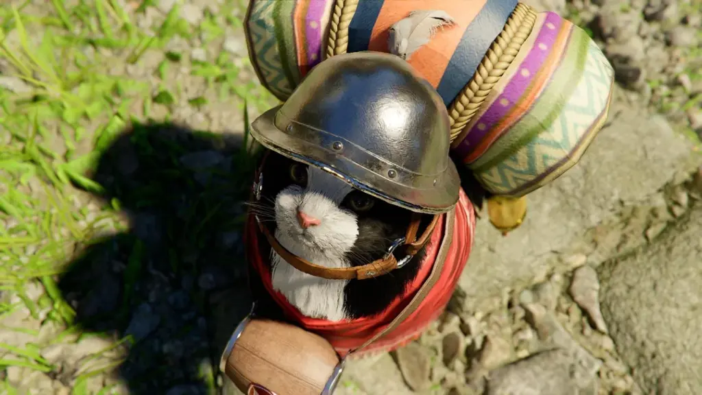 Player Crimson Desert