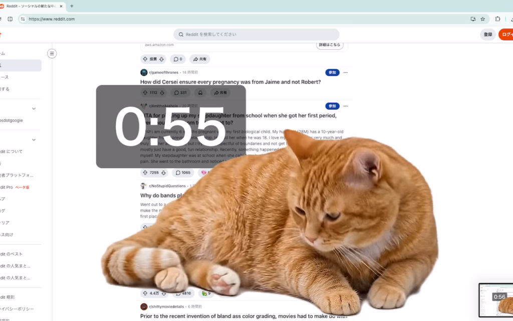 Extension Browser Cat Keeper