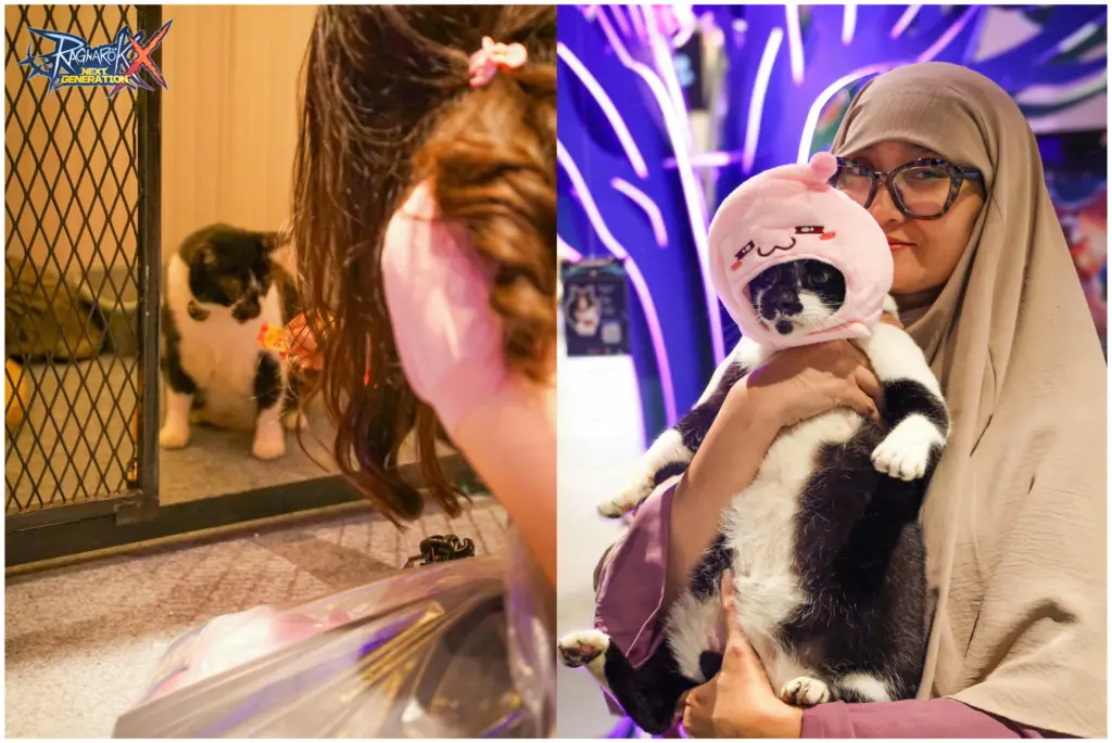 ROX Menyalurkan 750 kg Makanan Kucing Bagi Kucing Terlantar 2 ROX