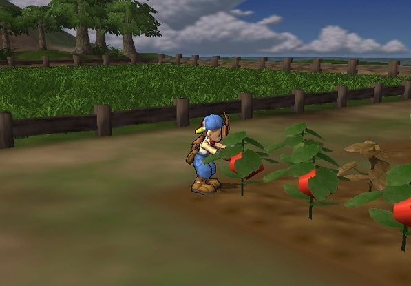 Harvest Moon Save The Homeland
